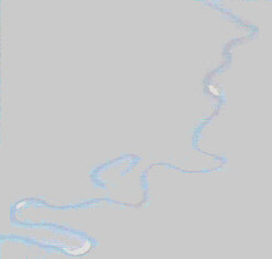 ֍s~VVbs쉺